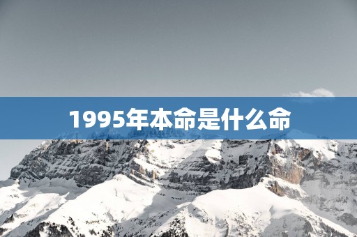 1995年本命是什么命