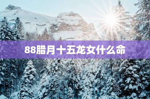 88腊月十五龙女什么命