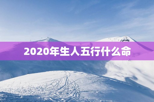 2025年生人五行什么命