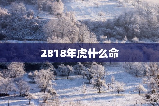 2818年虎什么命