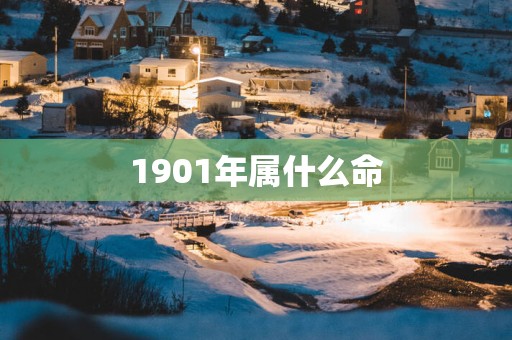 1901年属什么命