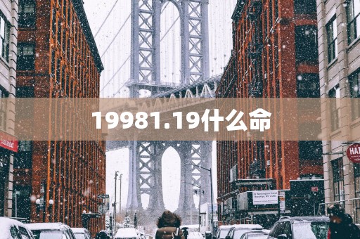 19981.19什么命