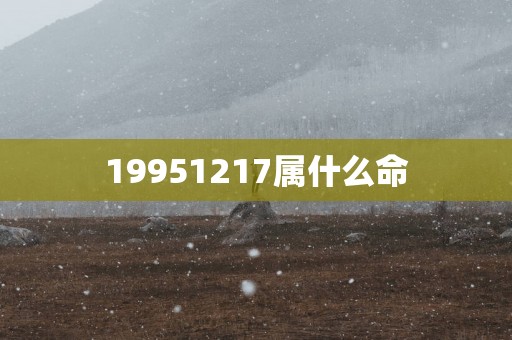 19951217属什么命