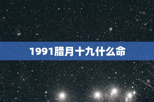 1991腊月十九什么命