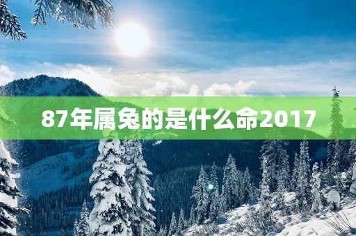 87年属兔的是什么命2017