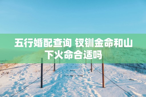 五行婚配查询 钗钏金命和山下火命合适吗