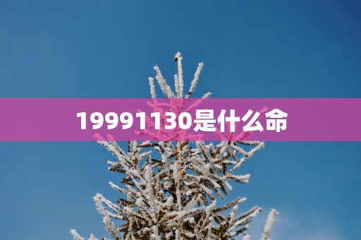 19991130是什么命