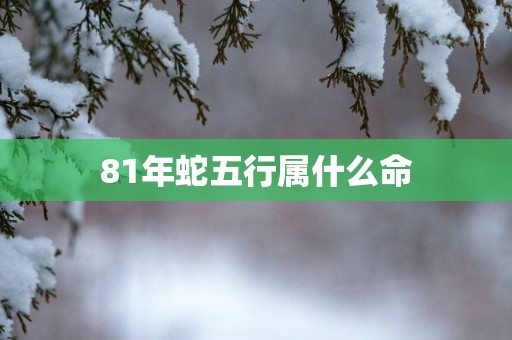 81年蛇五行属什么命