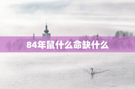 84年鼠什么命缺什么