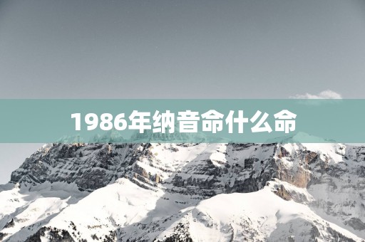 1986年纳音命什么命