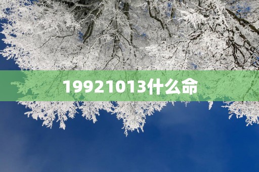 19921013什么命