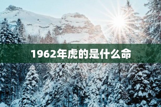 1962年虎的是什么命