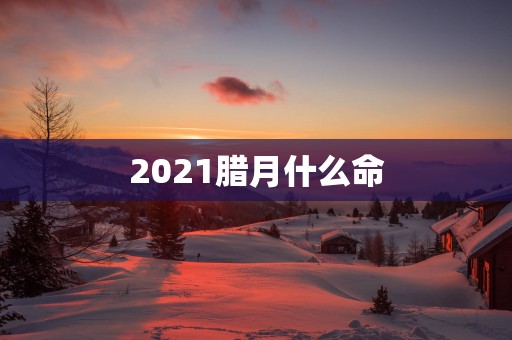 2025腊月什么命