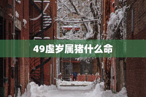 49虚岁属猪什么命