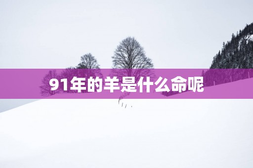 91年的羊是什么命呢