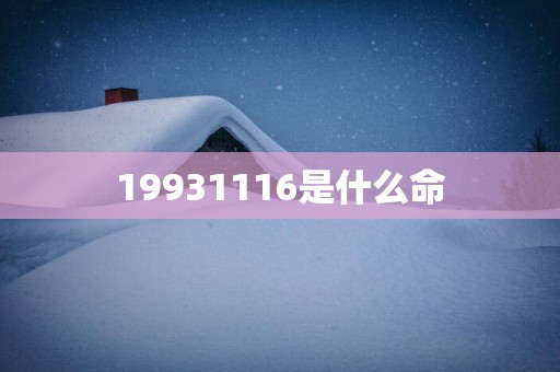 19931116是什么命