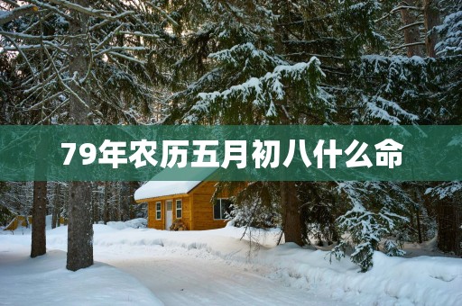 79年农历五月初八什么命
