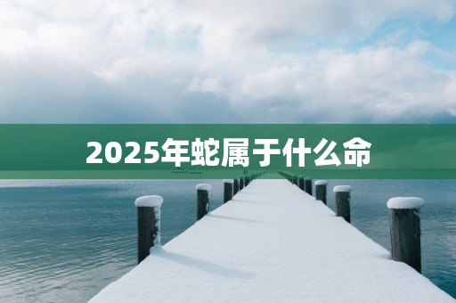 2025年蛇属于什么命
