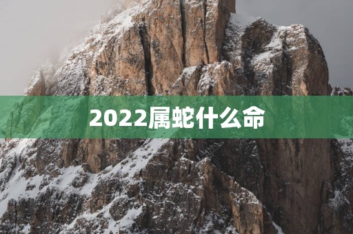 2025属蛇什么命