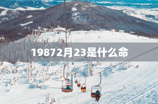19872月23是什么命