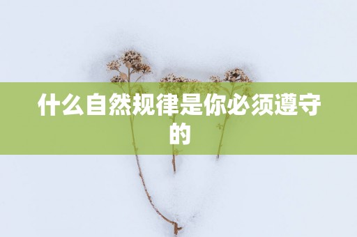 什么自然规律是你必须遵守的