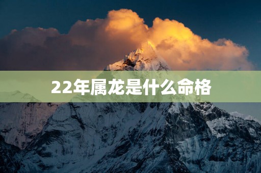 22年属龙是什么命格