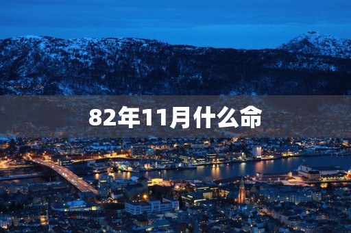 82年11月什么命