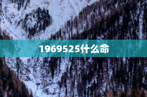 1969525什么命