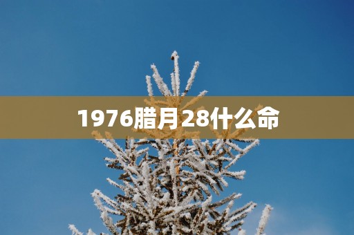 1976腊月28什么命