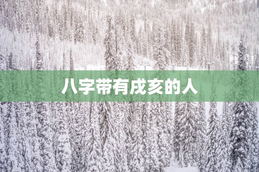 八字带有戌亥的人