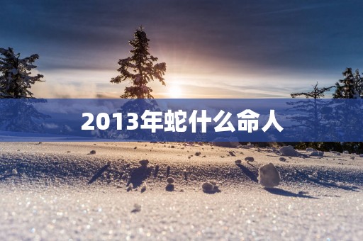 2013年蛇什么命人 2013年蛇什么命人