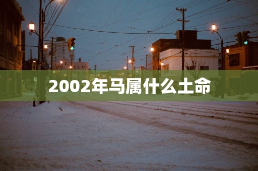 2002年马属什么土命