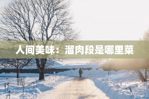 人间美味：溜肉段是哪里菜