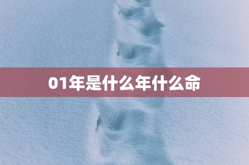 01年是什么年什么命