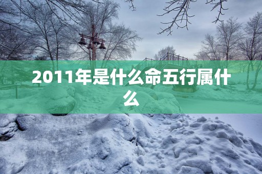 2011年是什么命五行属什么