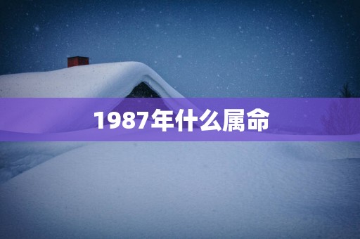1987年什么属命
