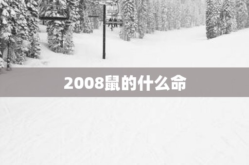 2008鼠的什么命