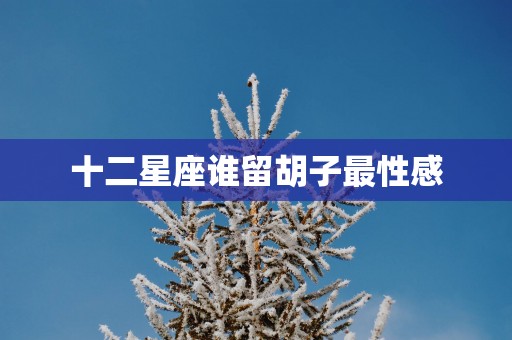 十二星座谁留胡子最性感
