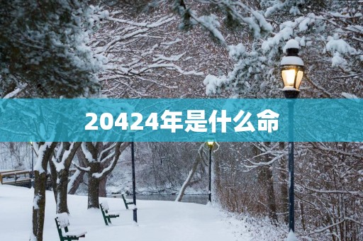 20424年是什么命