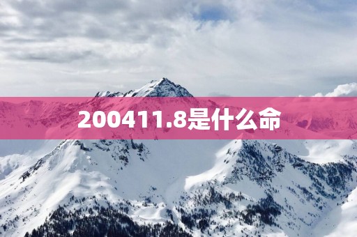 200411.8是什么命