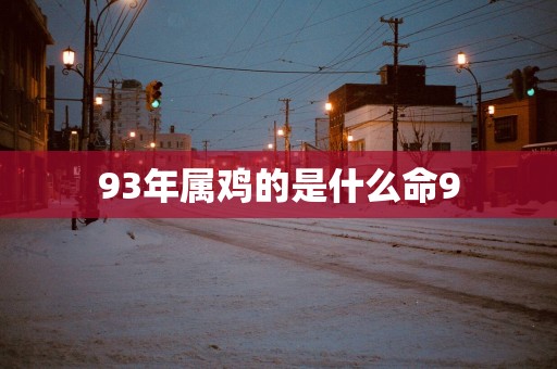 93年属鸡的是什么命9