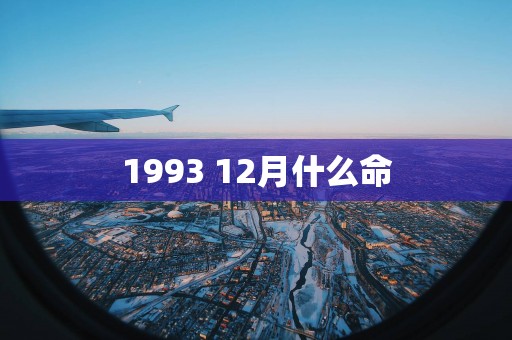 1993 12月什么命