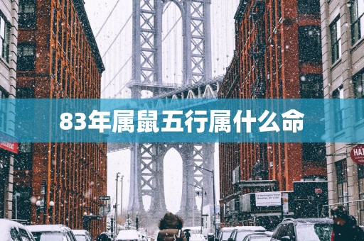 83年属鼠五行属什么命
