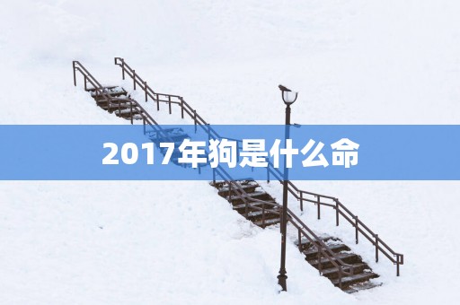 2017年狗是什么命