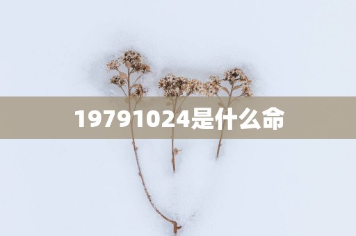 19791024是什么命