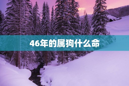 46年的属狗什么命