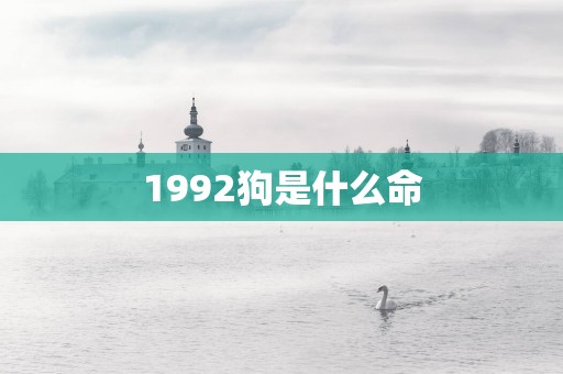1992狗是什么命