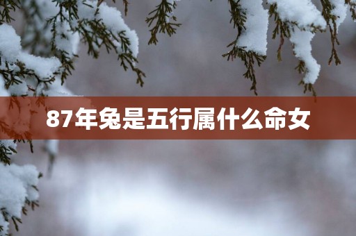 87年兔是五行属什么命女