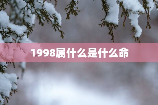1998属什么是什么命
