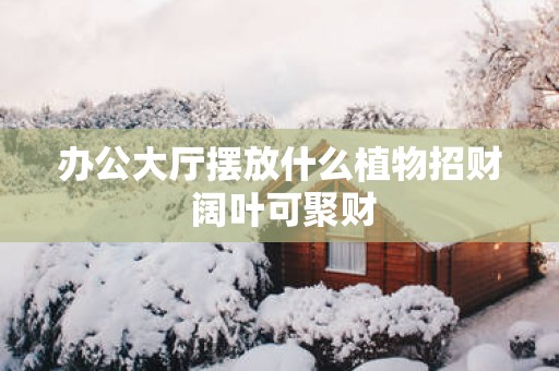 办公大厅摆放什么植物招财 阔叶可聚财